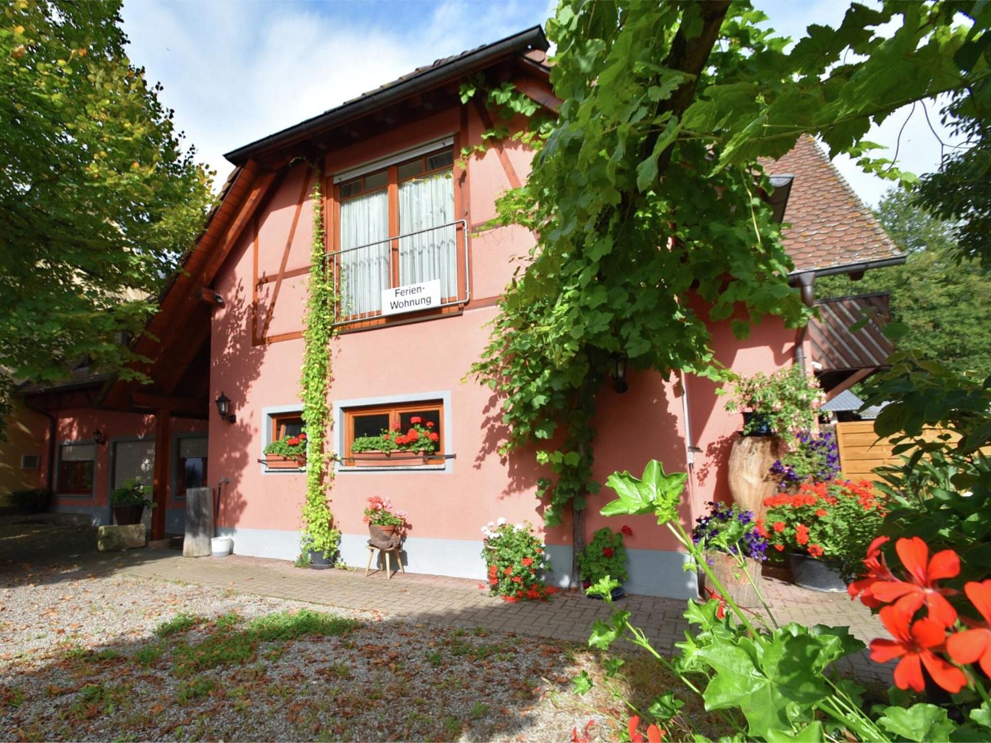 Countryside Apartment With Garden Schallstadt Exterior photo