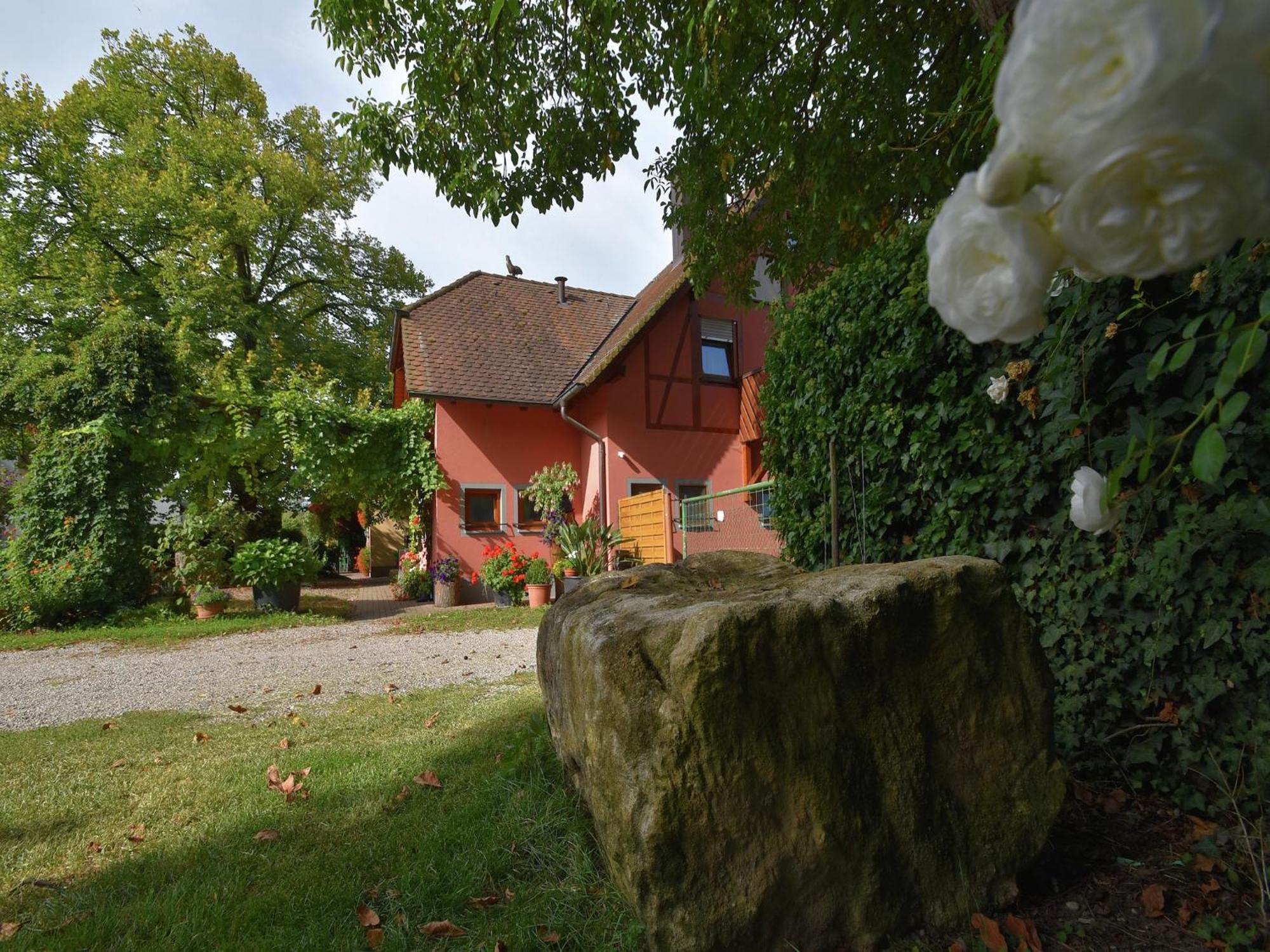 Countryside Apartment With Garden Schallstadt Exterior photo