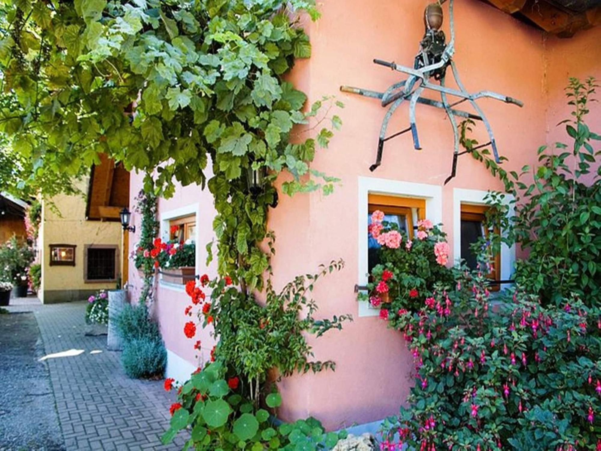 Countryside Apartment With Garden Schallstadt Exterior photo